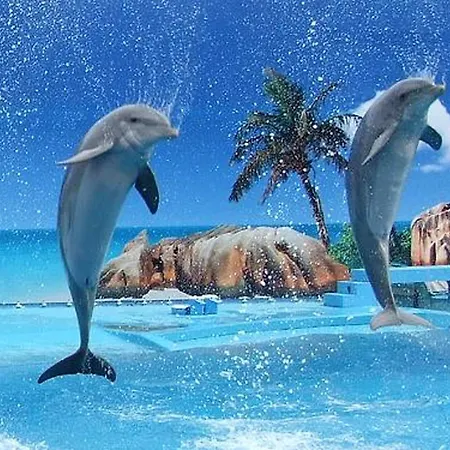 Charming With Shared Pool In - 60 M² Appartamento Albufeira